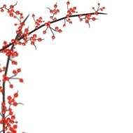 branch of holly with berries as a graphic image