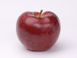 Picture of Apple Fruit