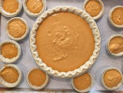 incredible Pumpkin Pie