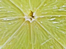 Macro photo of the lemon