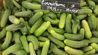 cucumbers in a box on the counter