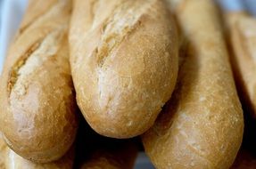 Baguette Bread