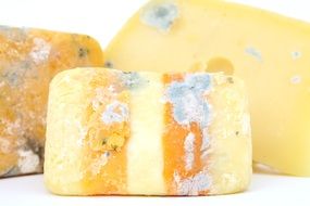 heads of cheese with mold