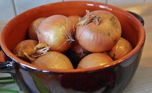 Onions in the kitchen