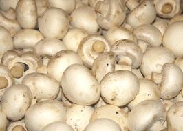 white Mushroom Vegetables