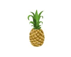 graphic image of a pineapple with a green ponytail
