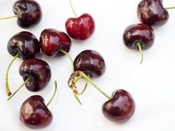 Freh red cherries in summer