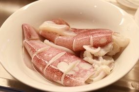 Squid Raw Food