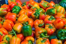 multicolored bell peppers in the market