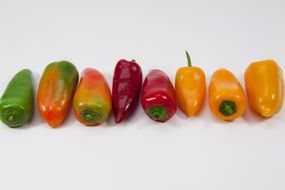 colorful pointed peppers