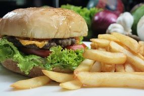 cheeseburger with french fries