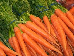 large washed carrots