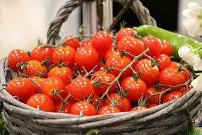 Domestic red tomatoes in a basket