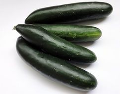 four dark green cucumbers