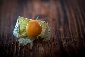 orange Physalis as a natural product