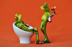 Funny frogs with drinks