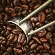 appetizing Coffee Beans