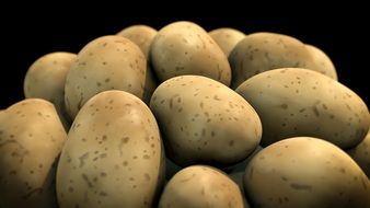 Many Potato on black