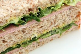 Appetite Bread Brown Bun