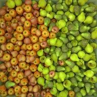 red apples and green pears in the market