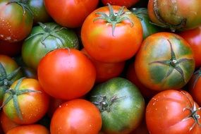 red tomatoes at the vegetable market