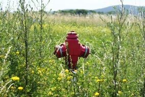 Fire Hydrant on the field