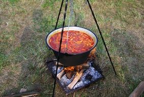 appetizing Kettle Goulash on burning coals