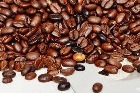 brown aromatic coffee beans