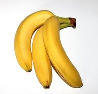 three yellow bananas lie together