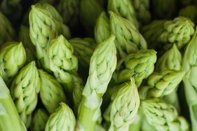 green asparagus for garnish
