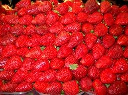 Market Strawberries