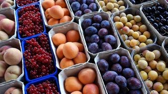 multicolored ripe berries and fruits in the market