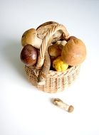 various mushrooms in a small basket at the white background