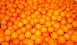 lots of orange fruit