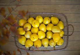 ripe yellow pears in a basket