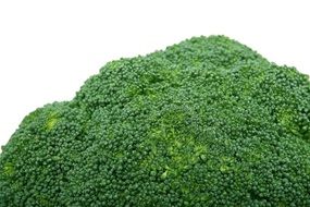 Appetite fresh Broccoli