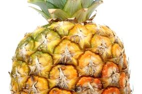peel of pineApple Calories Catering