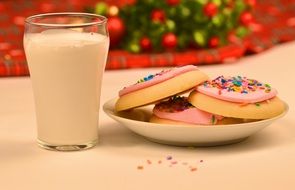 Christmas cookies for santa with milk