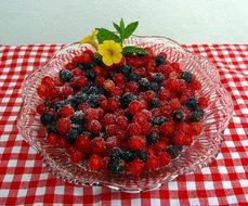 black and Red Currant Berries in glass bowl on table