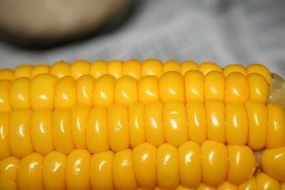 tasty Corn
