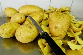 peeling potatoes on the table