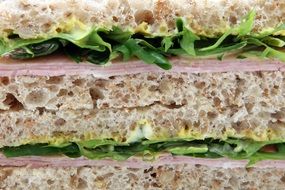 Appetite sandwich cut