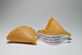 chinese Fortune Cookies with wisdom words