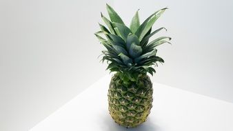 dainty Pineapple