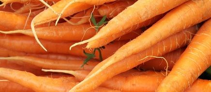 carrots in the vegetable market