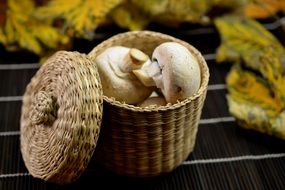 champignon Mushrooms in basket