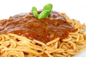 Appetite Bolognaise