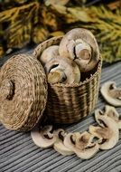 Mushrooms organic fresh Food