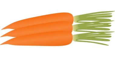 three orange carrots drawing