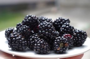 Selected blackberries on a white plate close-up